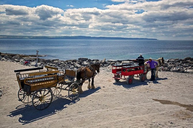 Inis Mór (Aran Islands) Day Trip: Return Ferry from Rossaveel, Galway - Dun Aengus and the island’s stone forts