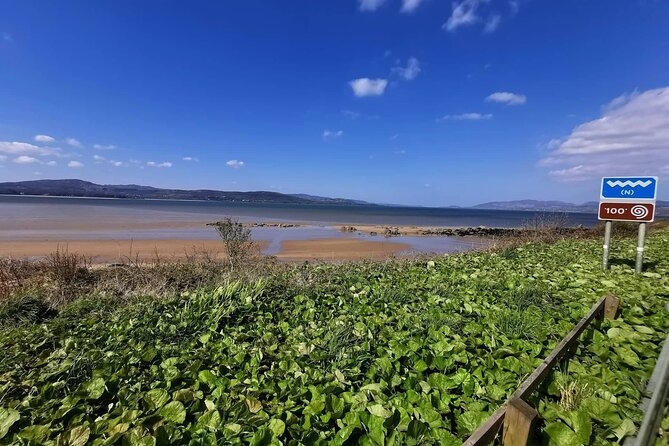 Inishowen Peninsula Tour - Fort Dunree: guns, wildlife, and a superb approach road