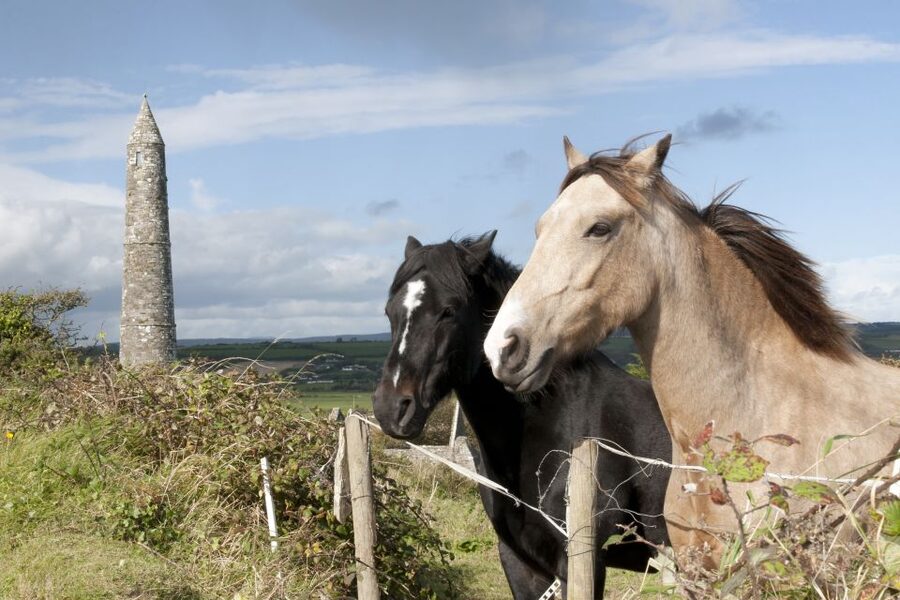 Ireland: Blarney Castle, Kilkenny & Irish Whiskey 3-Day Tour - Kilkenny and its castle before the Wicklow Mountains