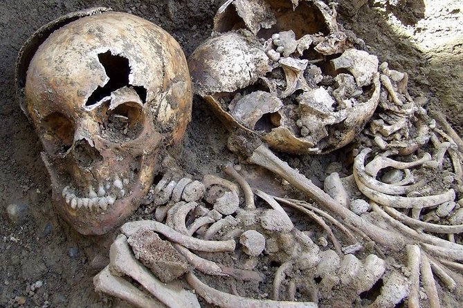 Irish Famine Museum / Exhibition Dublin - Reading your way through the Great Hunger