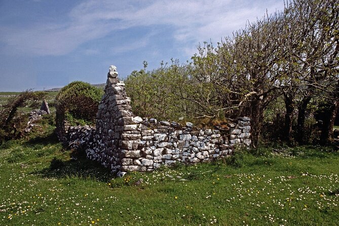 Irish Famine Museum / Exhibition Dublin - Who will get the most from this visit?