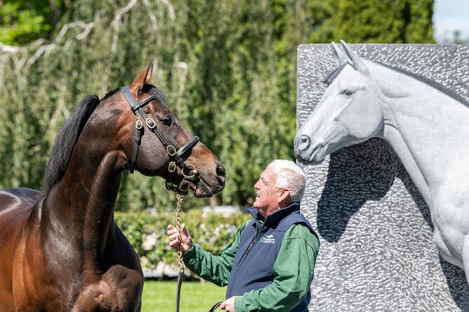 Irish National Stud & Gardens Skip the line Entrance - The Japanese Gardens deserve unhurried time