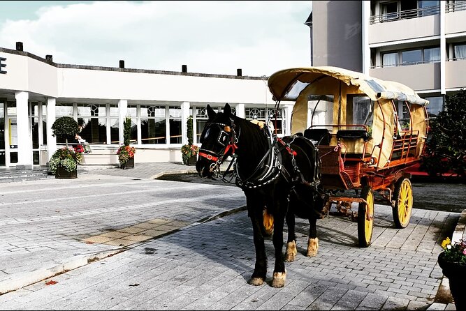 Jaunting Car Tour in Killarney National Park - Riding into Killarney National Park by jaunting car