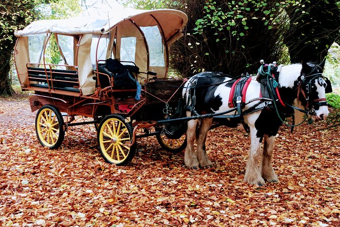 Jaunting Car Tour in Killarney National Park - Muckross Abbey and its ancient yew tree