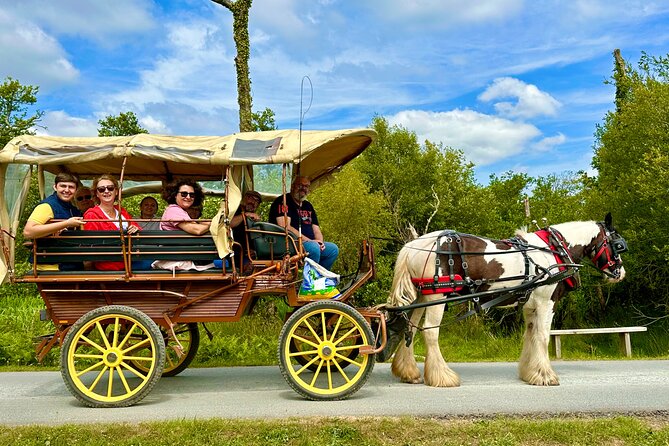 Jaunting Car Tour in Killarney National Park - Booking, timing, and practical comfort