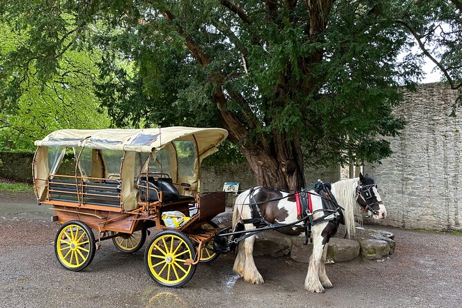 Jaunting Car Tour in Killarney National Park - Who will enjoy this Killarney carriage ride?