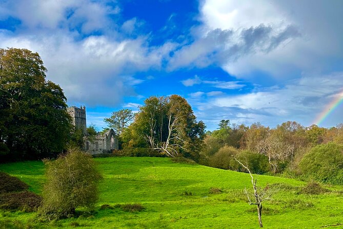 Jaunting Car Tour in Killarney National Park - Why the private format matters
