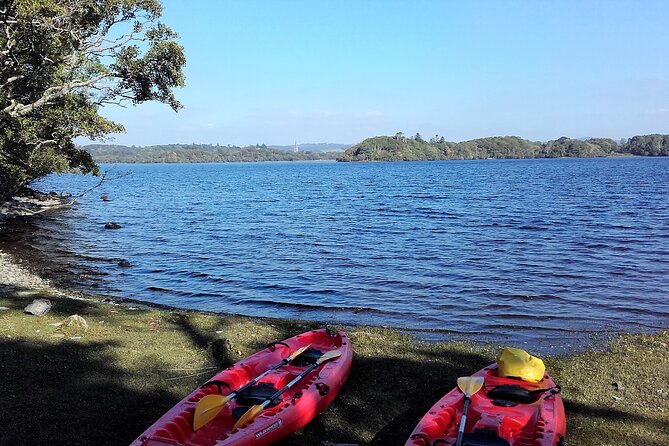 Kayak to Innisfallen island. Killarney. Guided. 2½ hours. - What the guide adds to the trip