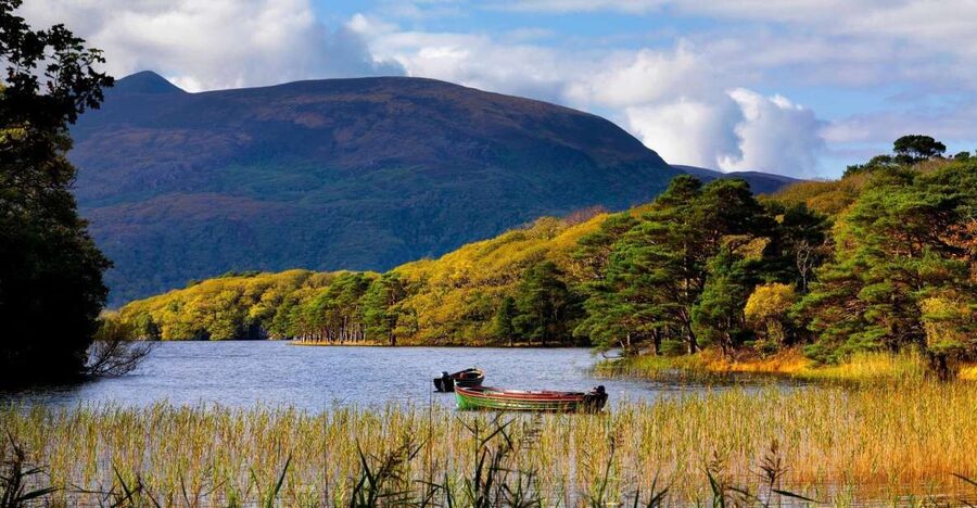Kerry: Full-Day Tour from Dublin - Is the $101 Price Worth It?