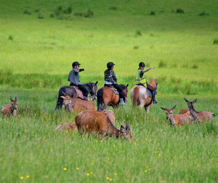 Kerry: Guided Horse Riding Tour in Killarney National Park - Riding into Knockreer Estate
