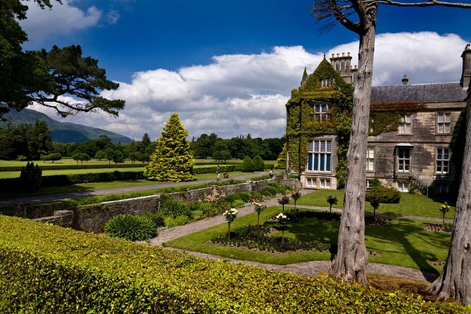 Kerry Highlights Day Tour from Dublin - Torc Waterfall and the Killarney woods