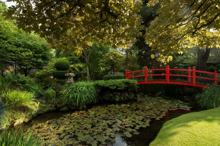 Kildare: Irish National Stud & Gardens - A Practical One-Day Plan
