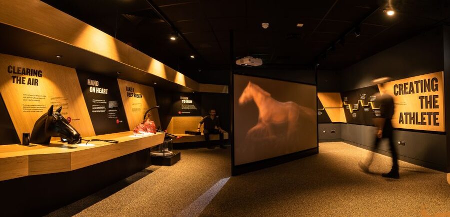 Kildare: Irish National Stud & Gardens - How the Price Compares With the Experience