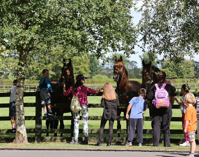 Kildare: Irish National Stud & Gardens - Who Will Enjoy This Most?