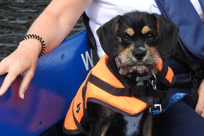 Kilkenny Boat Trip - Why families and mixed groups may like it