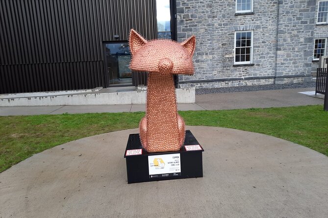 Kilkenny from Medieval to Modern City. Private Walking Tour - Black Abbey and an 800-year-old church