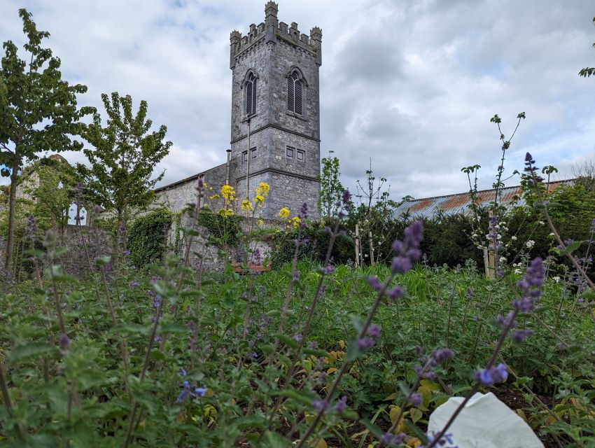 Kilkenny: Historical Highlights Walking Tour - What the $14 price really includes