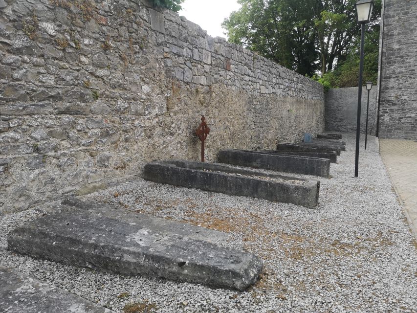 Kilkenny: Historical Highlights Walking Tour - Starting opposite Kilkenny Crystal