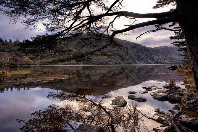 Kilkenny, Wicklow Mountains & Glendalough Day Tour from Dublin - A working sheep farm and the best family moment