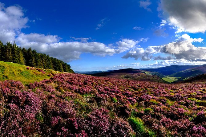 Kilkenny, Wicklow Mountains & Glendalough Day Tour from Dublin - The Wicklow Gap and the Garden of Ireland