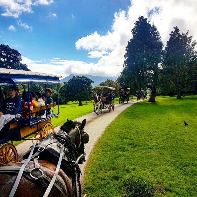 Killarney: 1-Hour Jaunting Car Horse and Carriage Tour - Ross Castle and the story of the O’Donoghues