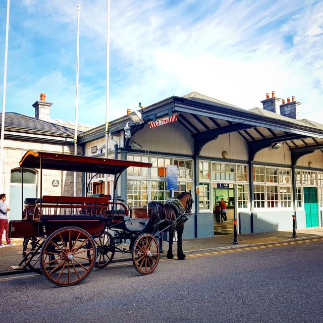 Killarney: 1-Hour Jaunting Car Horse and Carriage Tour - Is $43 fair for one hour?
