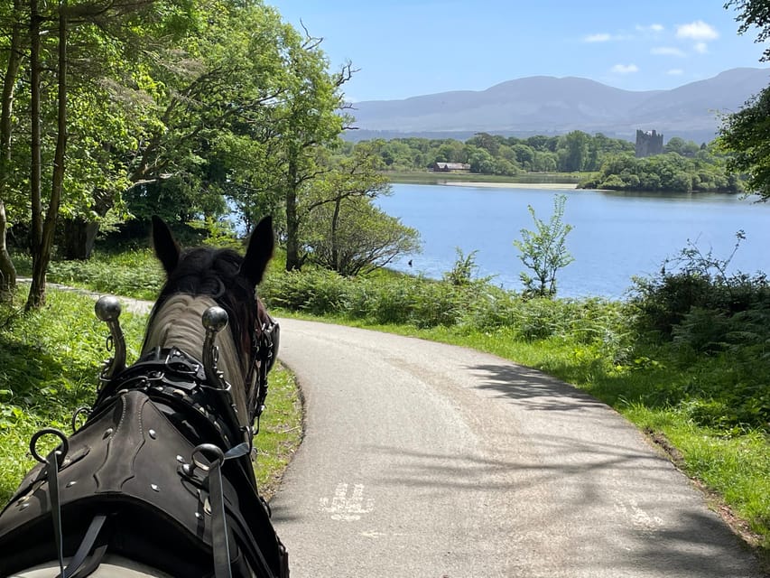 Killarney Carriage Tours National Park and Lakes - Key points before you book
