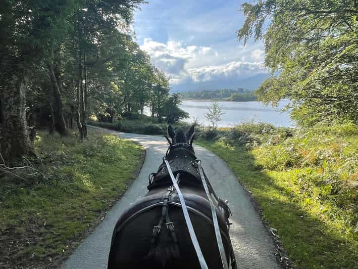Killarney Carriage Tours National Park and Lakes - The Lakes of Killarney and mountain views