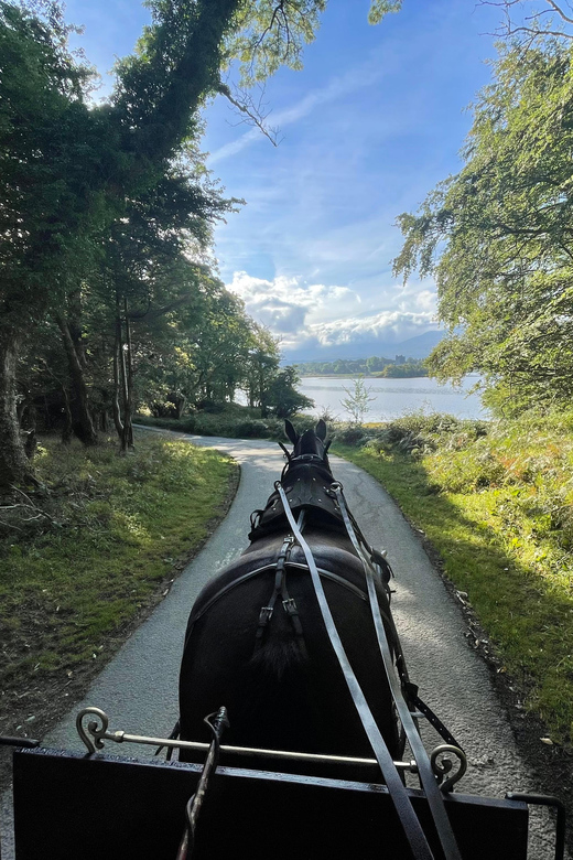 Killarney Carriage Tours National Park and Lakes - Ross Castle at the end of the scenic circuit