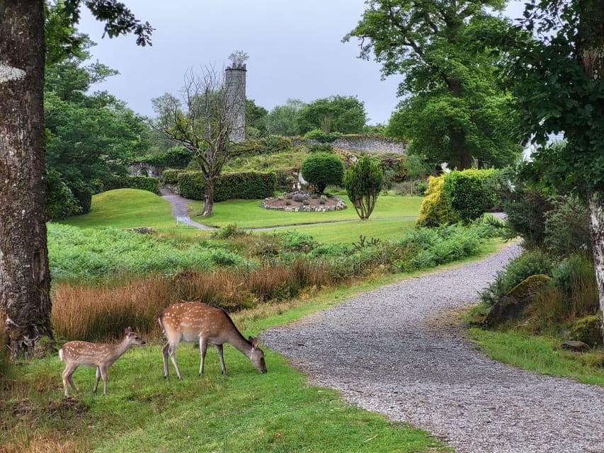 Killarney: Gap of Dunloe Day Tour - Ross Castle beside Lough Léin
