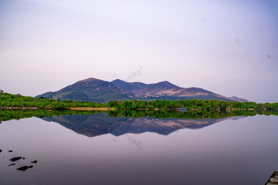 Killarney: Guided Boat Tour to Innisfallen Island - The Annals of Innisfallen and Ireland’s early story