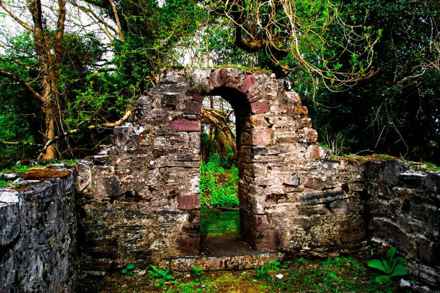 Killarney: Guided Boat Tour to Innisfallen Island - Why the one-hour length works, and where it falls short