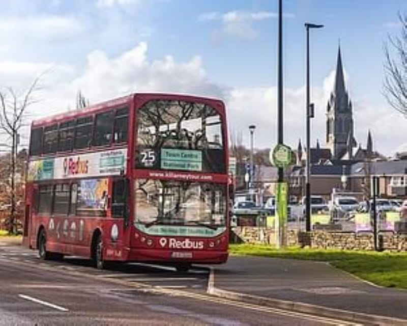 Killarney: Hop-On Hop-Off Bus to Killarney National Park - Why the bus works well in Killarney National Park