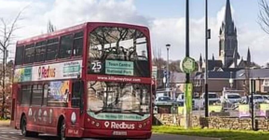Killarney: Hop-On Hop-Off Bus to Killarney National Park - Ross Castle beside Lough Leane