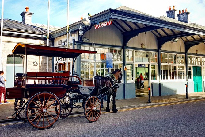 Killarney Jaunting Car & Lily of Killarney Watercoach Tour - Ross Island and the story beneath your feet