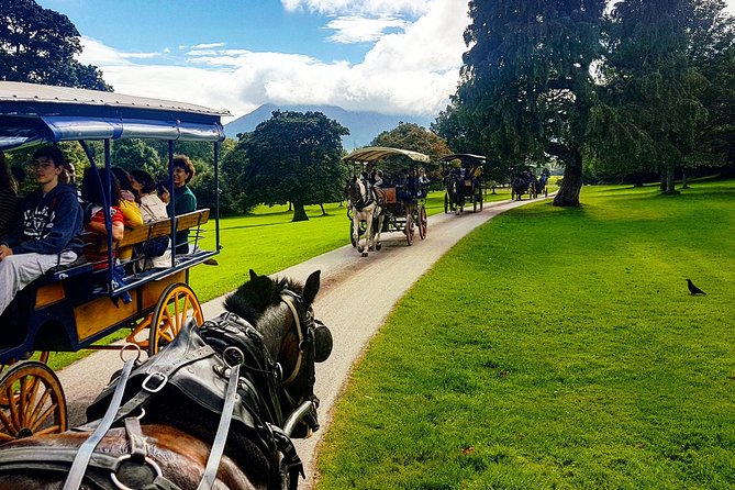 Killarney Jaunting Car & Lily of Killarney Watercoach Tour - Red deer, quiet paths, and wildlife expectations