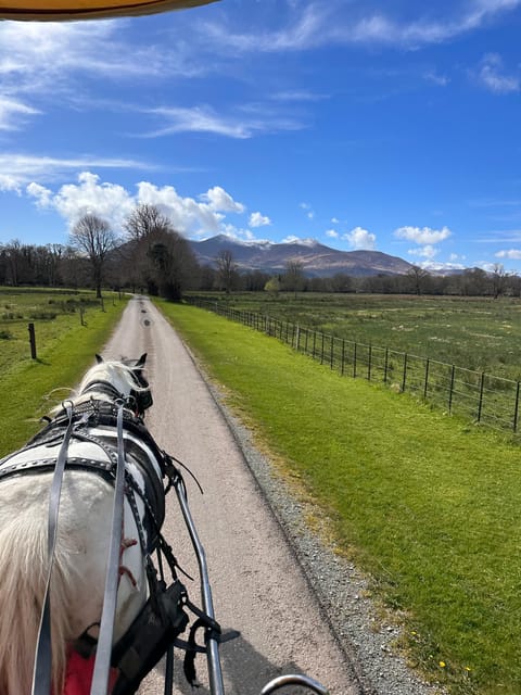 Killarney Jaunting Car Tour - The guide makes the ride more than transport