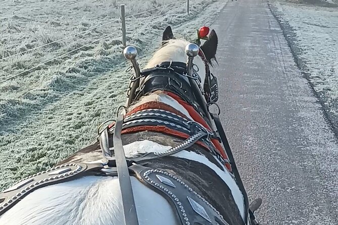 Killarney Jaunting Car Tour - Why a jaunting car works so well in Killarney