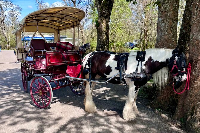 Killarney Jaunting Car Tour - Through Killarney National Park by horse and carriage