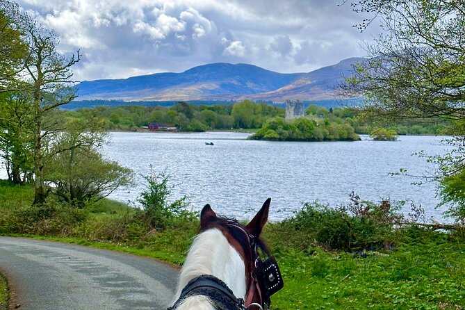 Killarney Jaunting Car Tour - The Lakes of Killarney and Innisfallen Island