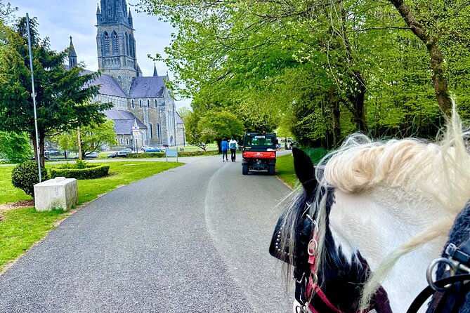 Killarney Jaunting Car Tour - Mountain views toward Carrauntoohil