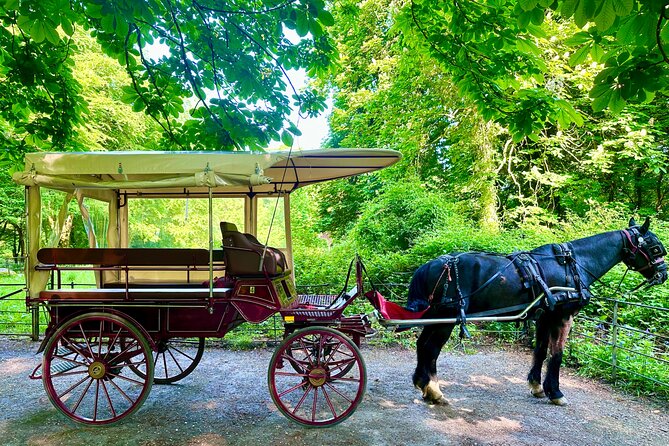 Killarney Jaunting Car Tour - Killarney House and Gardens on the return route