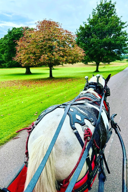 Killarney Jaunting Car Tour - What the one-hour timing really means