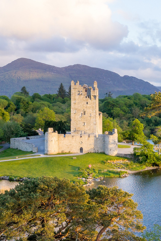 Killarney: Jaunting Car Tour with Afternoon Tea - Mountain views and Killarney’s red deer