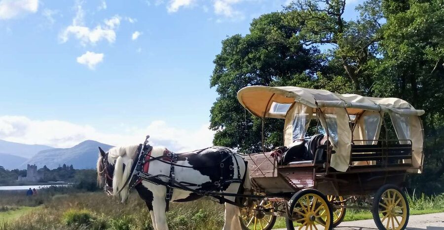 Killarney: Killarney National Park Private Tour - Why a one-hour jaunting car ride works in Killarney