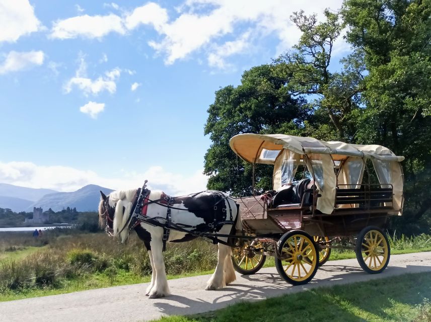 Killarney: Killarney National Park Private Tour - Ross Castle beside Lough Leane
