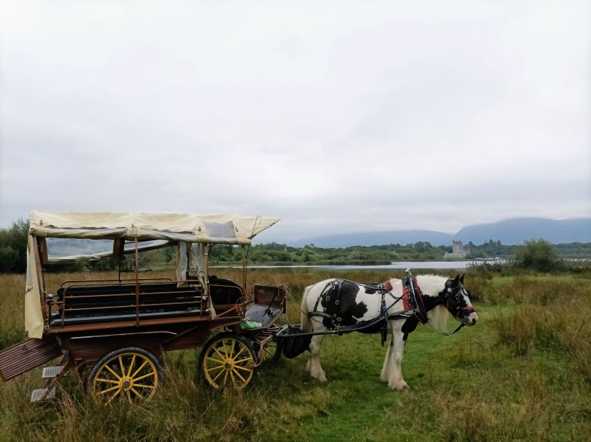 Killarney: Killarney National Park Private Tour - Innishfallon and the older story of the park