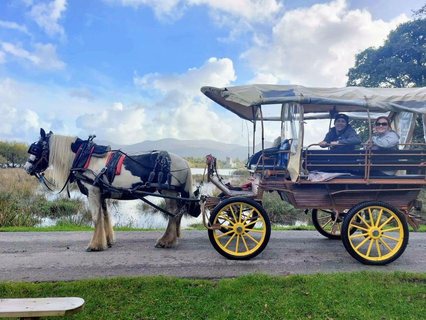 Killarney: Killarney National Park Private Tour - Carrauntoohil views and the open country beyond the lakes