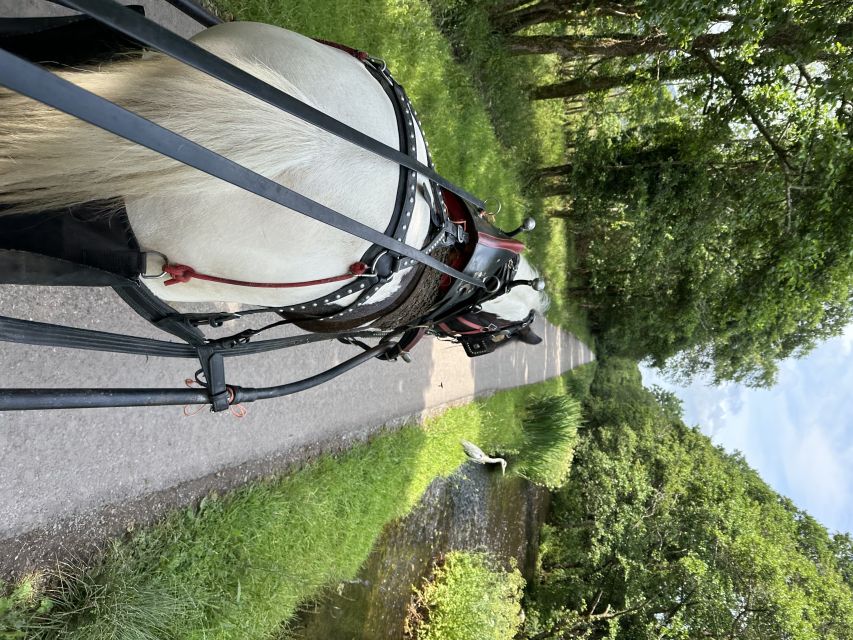 Killarney: Killarney National Park Private Tour - Rain, wind, and choosing the right time