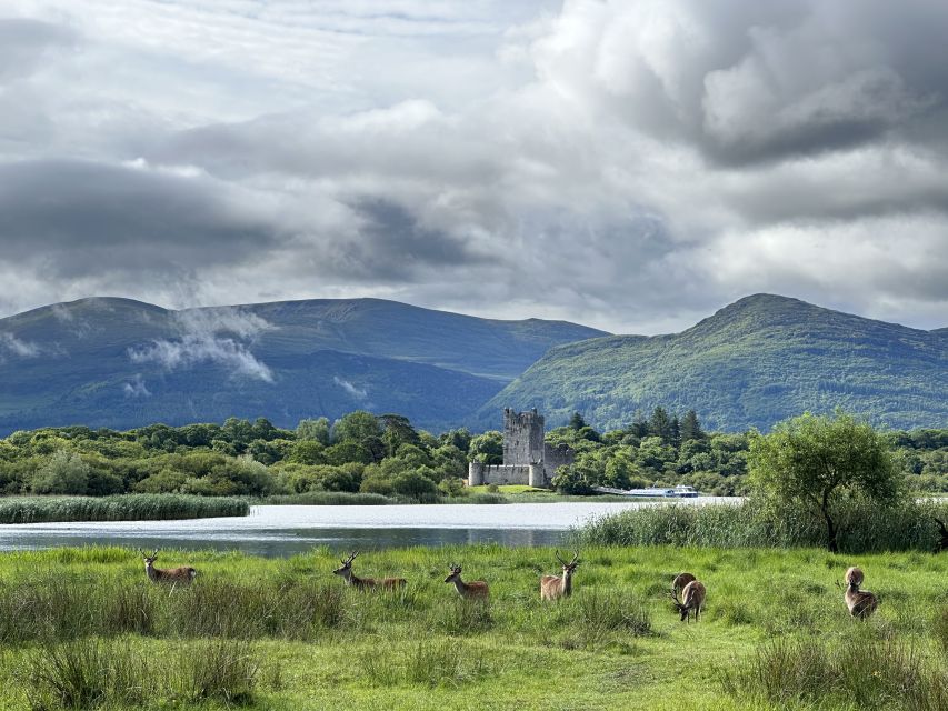 Killarney: Killarney National Park Private Tour - Starting beside St. Mary’s Cathedral and Deenagh Lodge